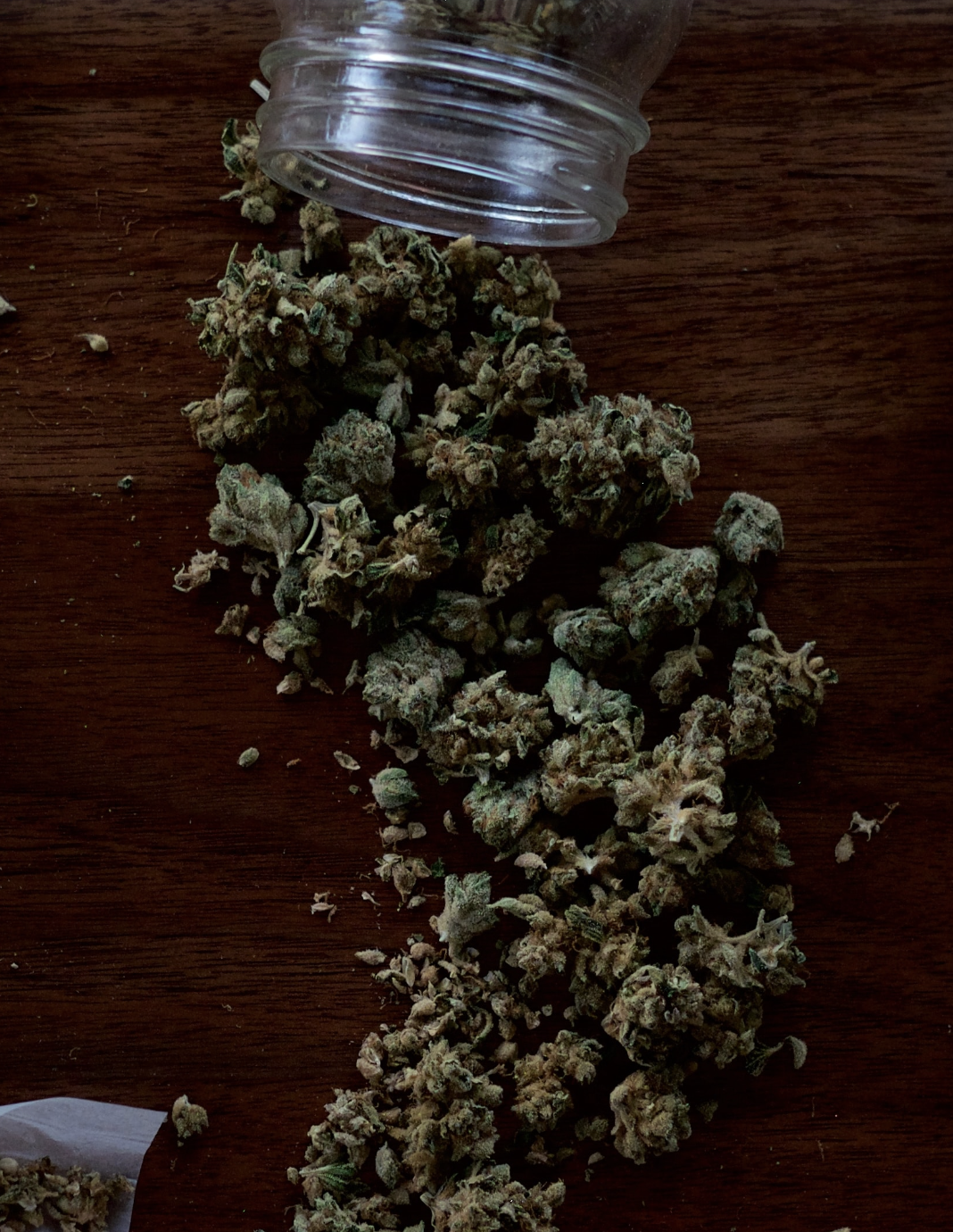 Buy Weed Online in UAE